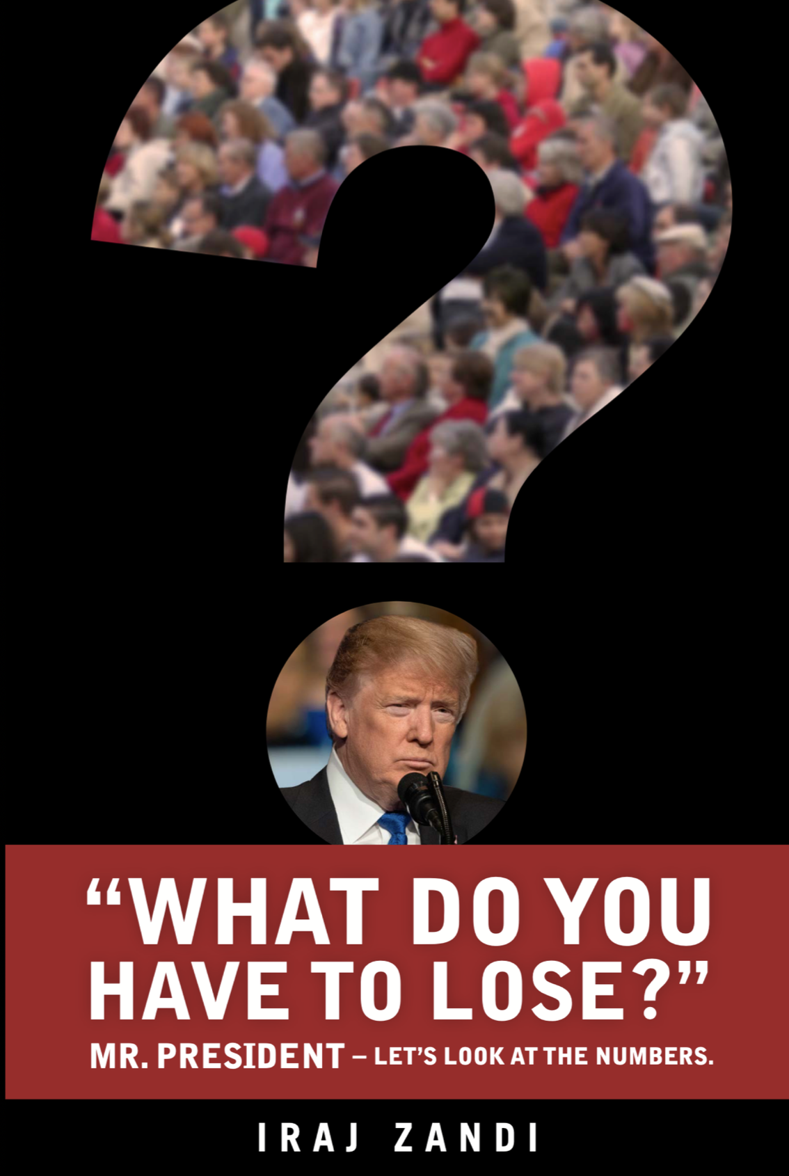 Cover of What Do You Have to Lose?